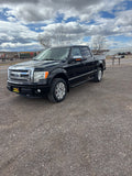 2011 Ford F-150 Platinum 4WD