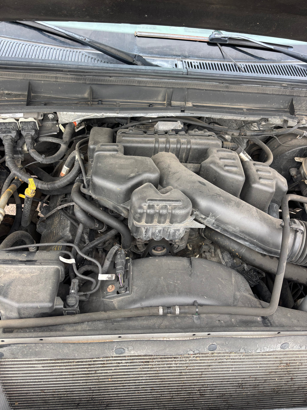 2015 Ford F-250 XLT Crew Cab 4WD | 6.2L V8